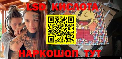 гашик Будённовск