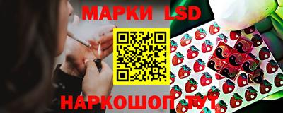гашик Будённовск