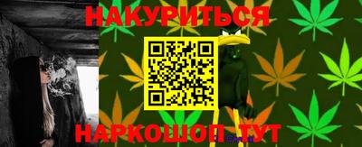 гашик Будённовск