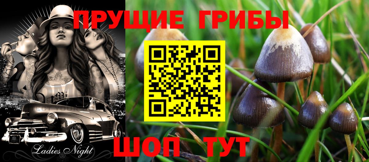 Галлюциногенные грибы мицелий Копейск