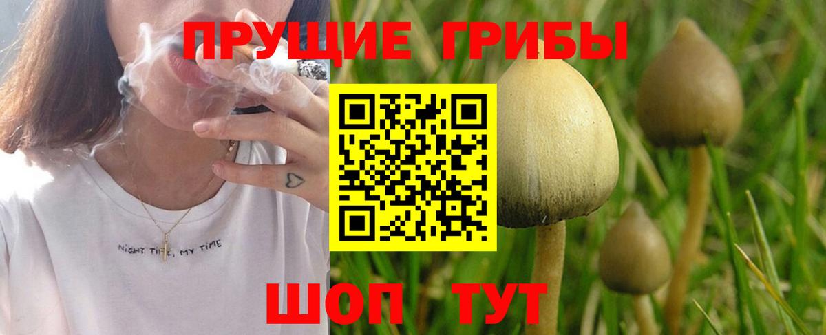 Копейск  Псилоцибиновые грибы мухоморы  Псилоцибиновые грибы Psilocybe  Вход с VPN 